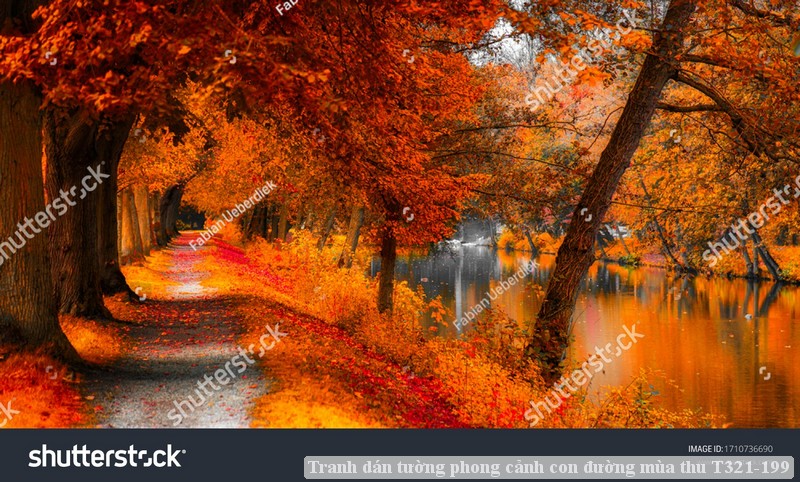 Tranh dán tường phong cảnh con đường mùa thu T321-199